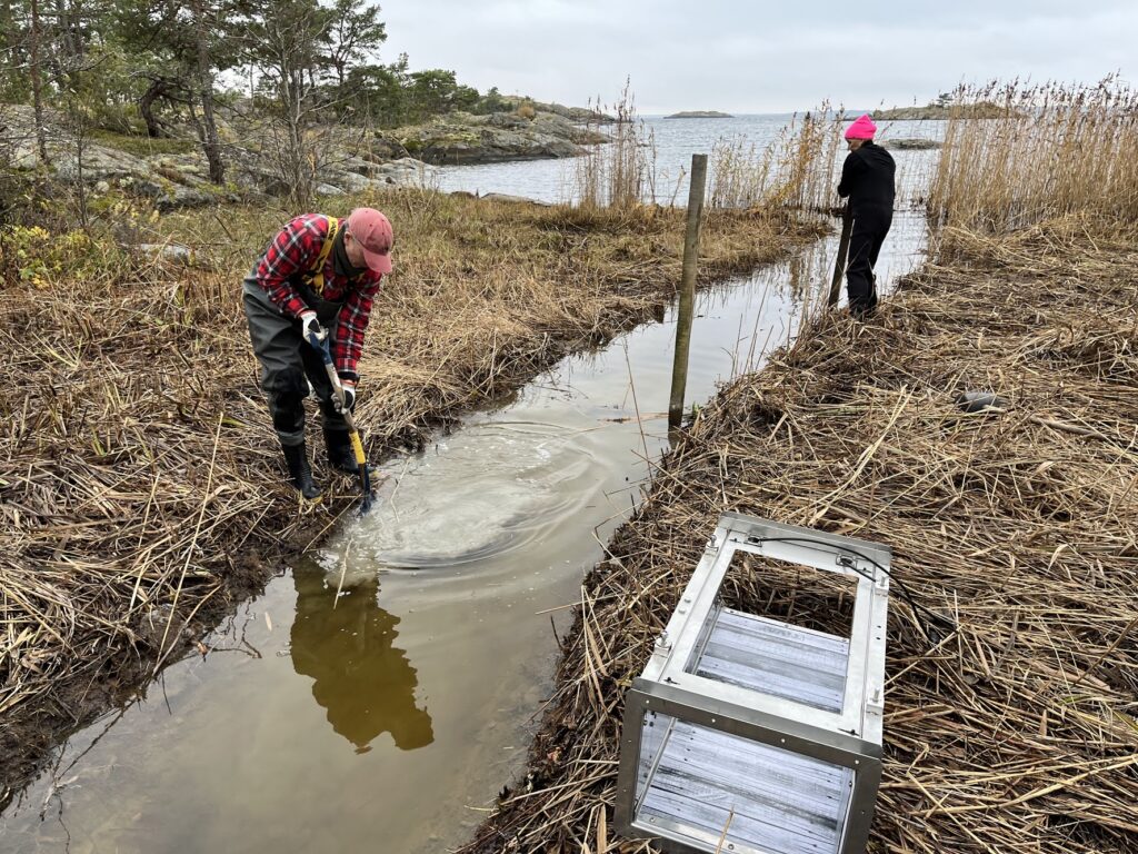 Montering av fiskräknare i ytterskärgården i Södermanland