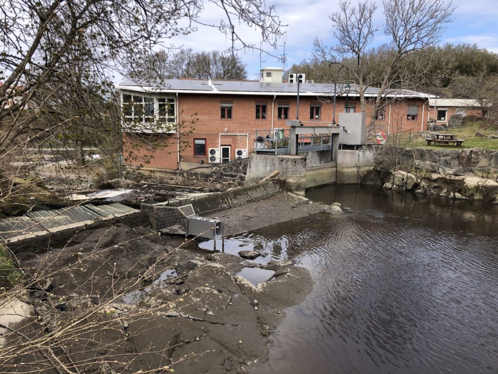 Fiskräknare i Uddevalla